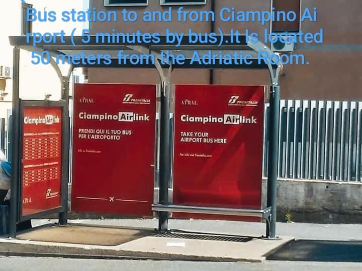 Adriatic Room 50 M Dalla Stazione Ferroviaria Di Ciampino E Dalla Navetta Aeroportuale Ngoại thất bức ảnh
